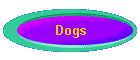 Dogs